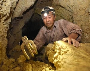 沖縄戦没者遺骨DNA鑑定、集団申請へ　民間人の身元特定つなげる　