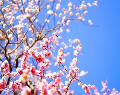 【韓ドラの凄ワザ！】『私の人生の春の日』の幸福感とは？