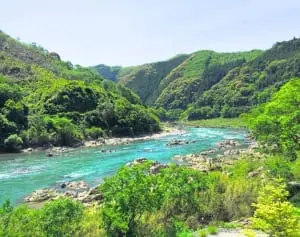 47都道府県で女子に愛される地元のメイブツ【高知県編】