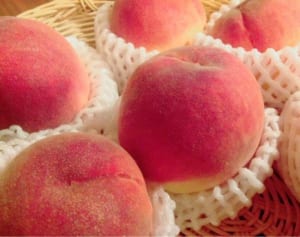 伊野尾慧に恋の10問10答「年上の女性、大好き」