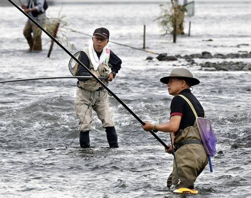 アユ釣り解禁　神奈川県内主要河川
