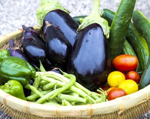 食べ方、下処理…夏野菜の栄養をムダにするNG処理5