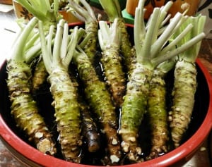 使い方次第で栄養価が半減？ 夏の食事の栄養新常識