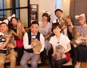 収録中も散歩…ねこの生態に迫るネコ学特番のゆるすぎる魅力