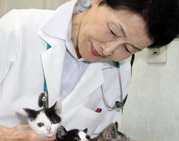 日本初の女性獣医師語る震災 子供の目輝いた「動物との絆」