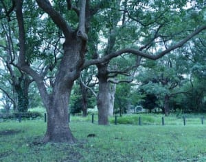 【韓ドラの凄ワザ！】『家族を守れ』女性ヒロインの健気さ