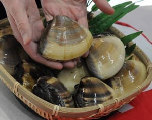 「湘南はまぐり」直売所7月8日オープン　藤沢・辻堂東海岸