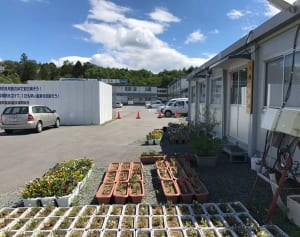 福島県・大熊町長の土地に「31億円の町役場」のあきれた復興計画（下）