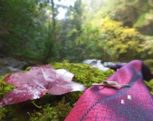 パート勤めから“西陣の異端児”へ、世界で活躍する65歳女性