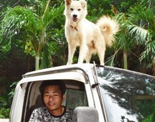 車上の犬、島で話題に　多良間の「セコム」