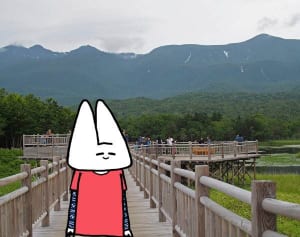 北海道・知床五湖の森で出会う！動物たちの住処へおじゃまします