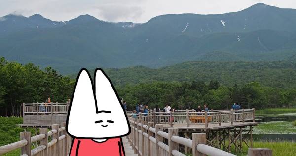 北海道・知床五湖の森で出会う！動物たちの住処へおじゃまします