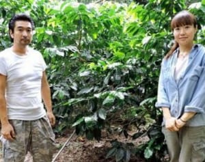 コーヒー畑に夢実る　国頭の豆がスペシャルティ認定　安田の徳田泰二郎、優子さん