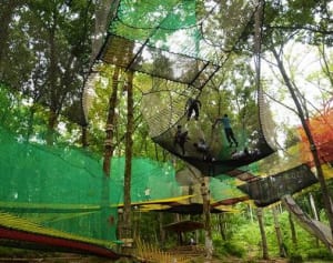 空は遊び場　丸太の森に仏発祥「パカブ」登場　足柄