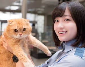 『いきもの係』のぶさかわニャンコ、ティティさんに密着