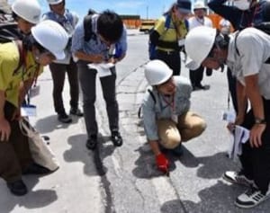 ヒアリ防除、沖縄は研究者連携で迅速調査、科学技術大学院大や琉球大など知見を共有