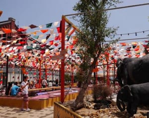 夏季限定！テーマはアフリカ！　横浜・赤レンガ倉庫でイベント