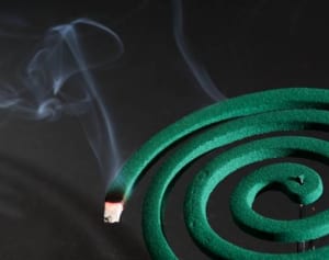 「足消毒で蚊に刺されない」発見したスーパー高校生の現在