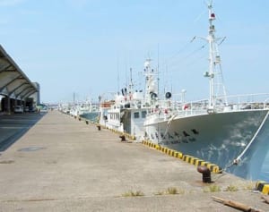 47都道府県で女子に愛される地元のメイブツ【千葉県編】