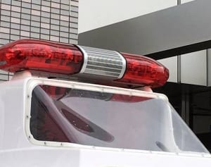 子猫虐待を動画で投稿 容疑の派遣社員逮捕　神奈川県警