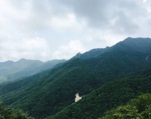 【韓ドラの凄ワザ！】『師任堂、色の日記』の出来について