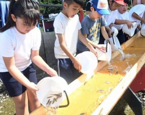 成長して戻っておいで　三浦の児童がマダイの稚魚放流