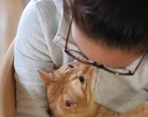 キスは厳禁！ペットのあご骨折急増は歯周病放置が原因か