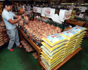 新米の「はるみ」きょうから販売　平塚