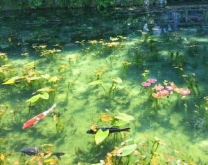 SNS拡散の新名所も…名古屋発“1万円以下で絶景旅”