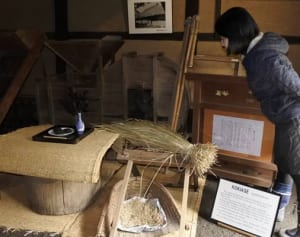 農村の深まる秋再現　川崎・日本民家園で「扱き上げ」展示