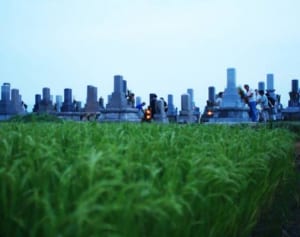 実の娘が受け取り拒否…専門家が語る“遺骨遺棄”事情