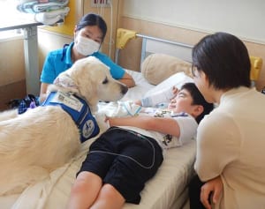 入院中の重病児に元気を！病院で働く“ファシリティドッグ”とは？