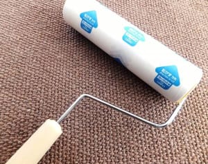 ダニ・カビ被害を防ぐ！「秋の大掃除」を効果的に進めるコツ