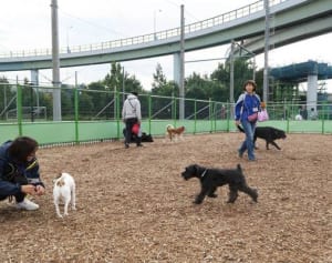 移転しドッグラン復活　横浜・青葉区、3年ぶり