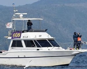 辺野古警備費約２億円過大　会計検査院が指摘　２０１５～１６年分