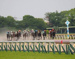 武豊の路上キス報道　妻の“2ショット釈明”になぜか賛否両論