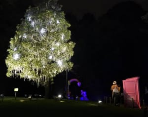 光輝くドラえもんの世界　藤子ミュージアムXマスイルミ