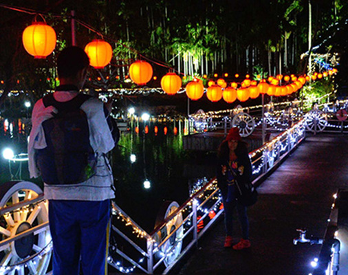 ３０万球「ひかりの散歩道」　電飾、鮮やかに　東南植物楽園（沖縄市）