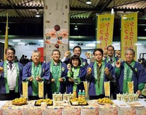 黄金の宝石、フルーツシークヮーサーが旬入り　爽やかな甘酸っぱさ　前年比2・3倍の55トン出荷へ