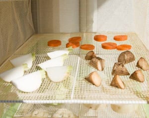 半日干せばうま味は1.5倍、お肌潤う「干し野菜」のススメ