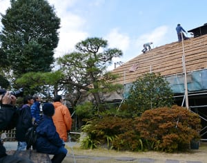 懐かしの屋根葺き替え　小田原の「岩瀬邸」で作業公開