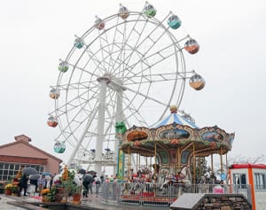 観覧車から拝む初日の出　横須賀・ソレイユの丘