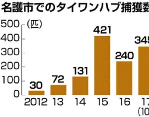 名護、タイワンハブ急増　5年で10倍超、注意喚起