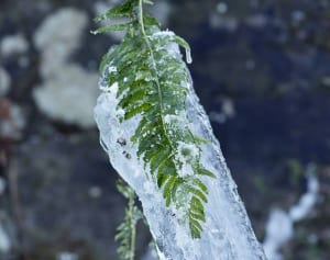 防寒対策も完璧に！旅ジャーナリストが教える「雪旅」のススメ