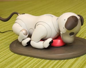 “即完売”の人気ぶり…「新型アイボ」のハイテクすぎる習性