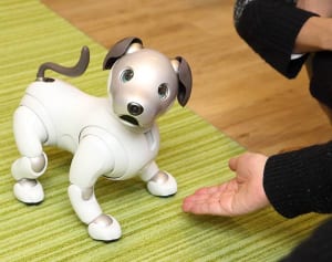 なぜなつかず？「新型アイボ」素朴な疑問をソニーに聞いてみた