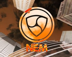 仮想通貨被害の藤崎マーケット・トキ「調子乗るからや」の指摘に反省