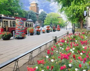 花と緑のイベント　横浜、「ガーデンネックレス」開催へ