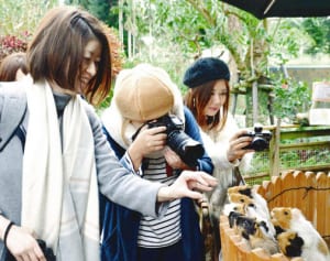 カメラガールズがコザの魅力発信　沖縄で初の撮影ツアー