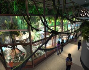 オービィ横浜 リニューアルに向け休館へ　4月1日オープン